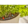 Lašelinė laistymo sistema Gardena 13400-20 Žarnos ilgis 15 m Juoda Žalia