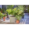 Lašelinė laistymo sistema Gardena 13400-20 Žarnos ilgis 15 m Juoda Žalia