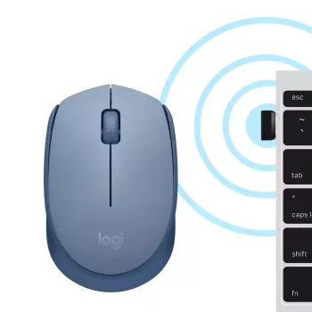 Pelė Logitech M171 RF Wireless Optical