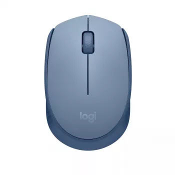Pelė Logitech M171 RF Wireless Optical