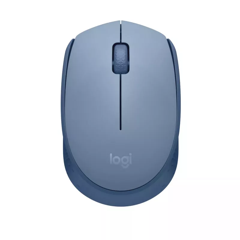 Pelė Logitech M171 RF Wireless Optical