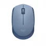 Pelė Logitech M171 RF Wireless Optical