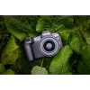 Canon EOS R8 + RF 24-50mm F4.5-6.3 IS STM rinkinys, 24,2 MP, 6000 x 4000 pikselių, CMOS, 4K Ultra HD, jutiklinis ekranas, juoda