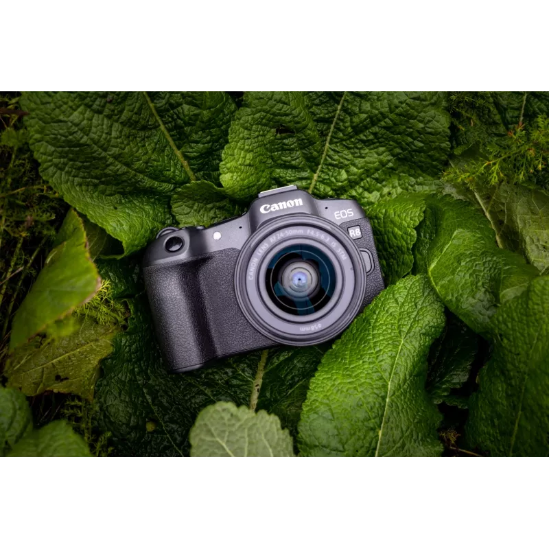 Canon EOS R8 + RF 24-50mm F4.5-6.3 IS STM rinkinys, 24,2 MP, 6000 x 4000 pikselių, CMOS, 4K Ultra HD, jutiklinis ekranas, juoda