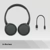 Sony WH-CH520 ausinės Belaidis Ant galvos Skambučiai / Muzika USB Type-C Bluetooth Juoda