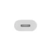 APPLE Lightning adapteris – 24pin USB-c vyriškas į Lightning moteriškas