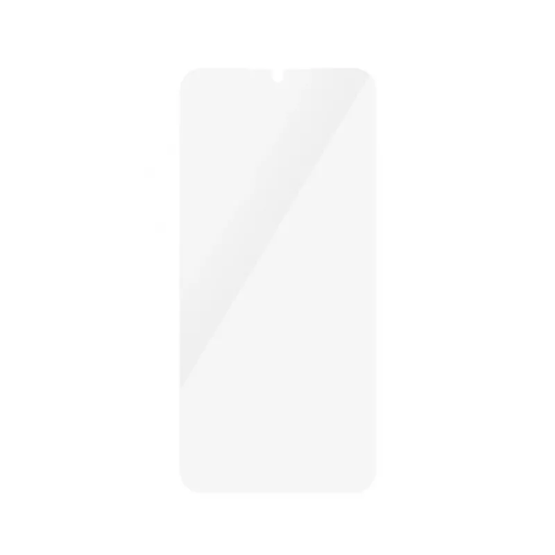 PanzerGlass 7349 mobiliojo telefono ekrano / galinės dalies apsauga Skaidri ekrano apsauga Samsung 1 vnt.