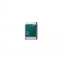 SYNOLOGY kietasis diskas Hat33108t - 8 TB - SATA 6 Gb/s - 3,5 col. - 7200 aps./min.