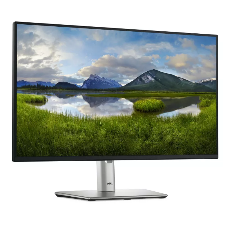 DELL Pro Plus P2425H kompiuterio monitorius 60,5 cm (23,8 colio) 1920 x 1080 pikselių Full HD LCD juodas