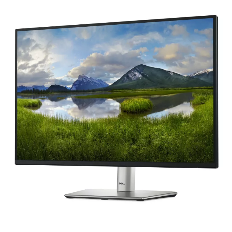 DELL Pro Plus P2425E kompiuterio monitorius 61,1 cm (24,1 colio) 1920 x 1200 pikselių WUXGA LCD juodas