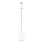 APPLE USB-c į USB adapteris