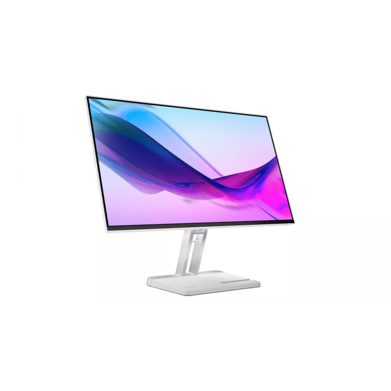 Lenovo L24i-4A kompiuterio monitorius 60,5 cm (23,8 col.) 1920 x 1080 pikselių Full HD LED pilkas