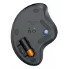LOGITECH Ergo M575s belaidis rutulinis manipuliatorius - grafito+mėlynas rutulys