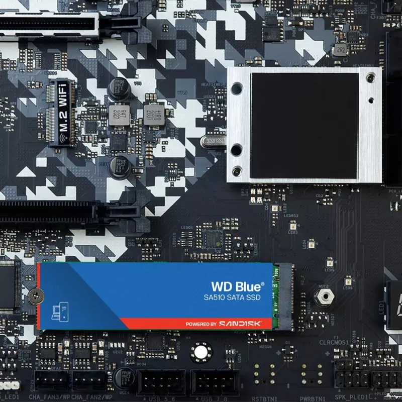 WESTERN DIGITAL SSD - WD Mėlyna SA510 - 1TB - SATA 6Gb/s - M.2 2280