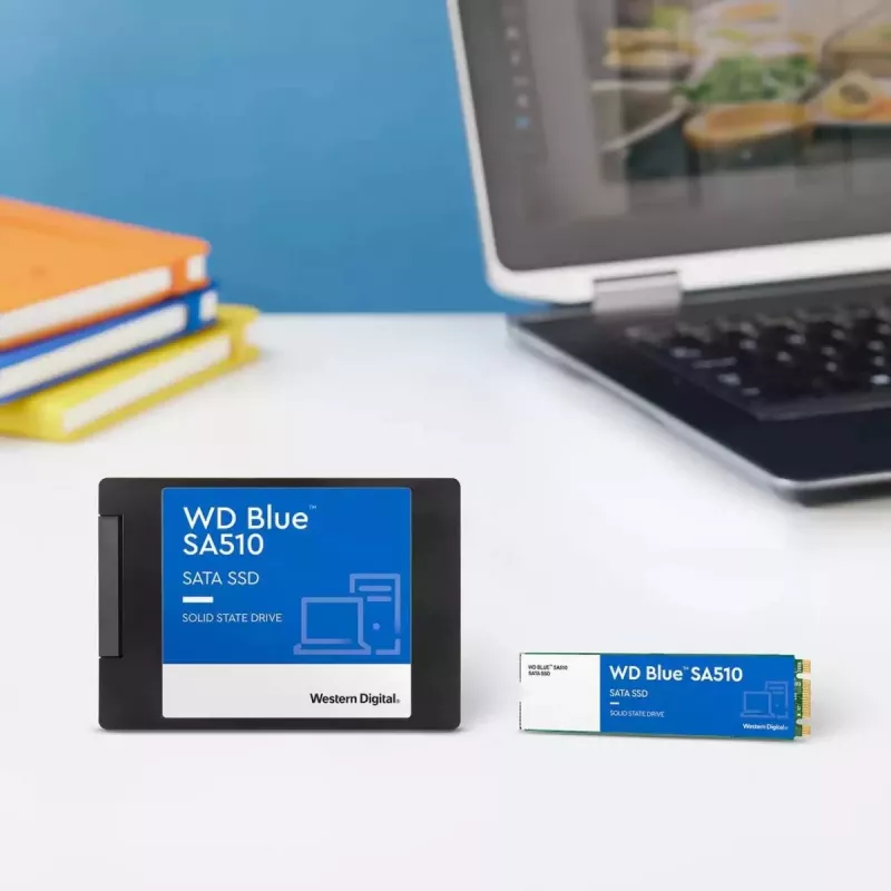 WESTERN DIGITAL SSD - WD Mėlyna SA510 - 2TB - SATA 6Gb/s - M.2 2280