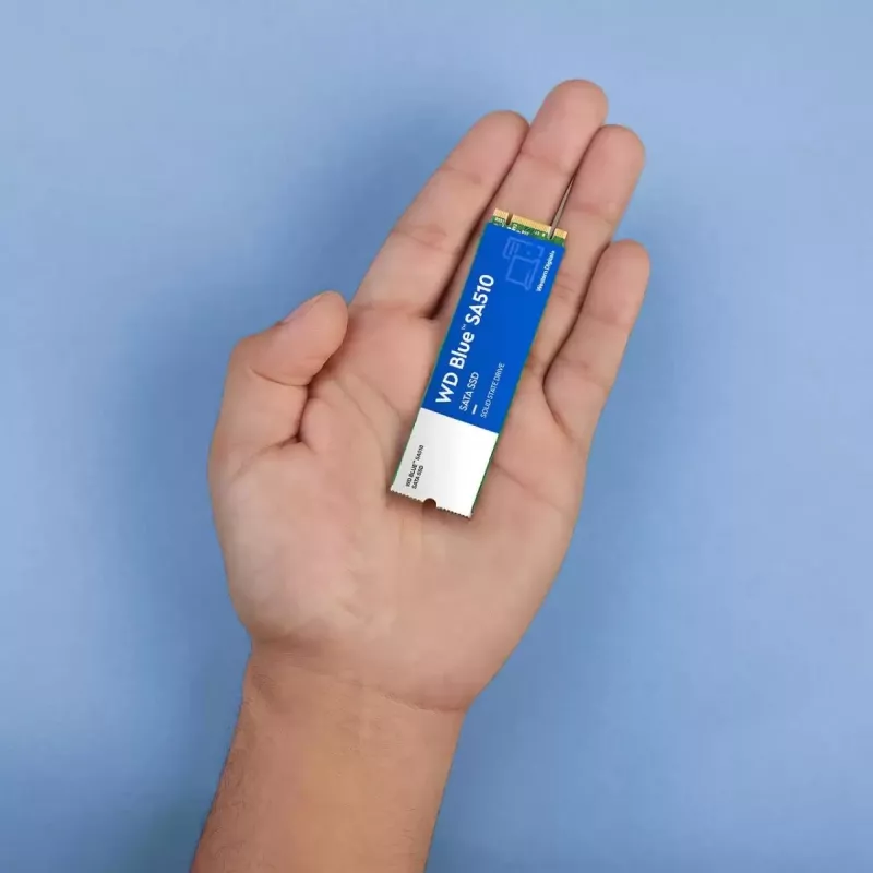 WESTERN DIGITAL SSD - WD Mėlyna SA510 - 2TB - SATA 6Gb/s - M.2 2280