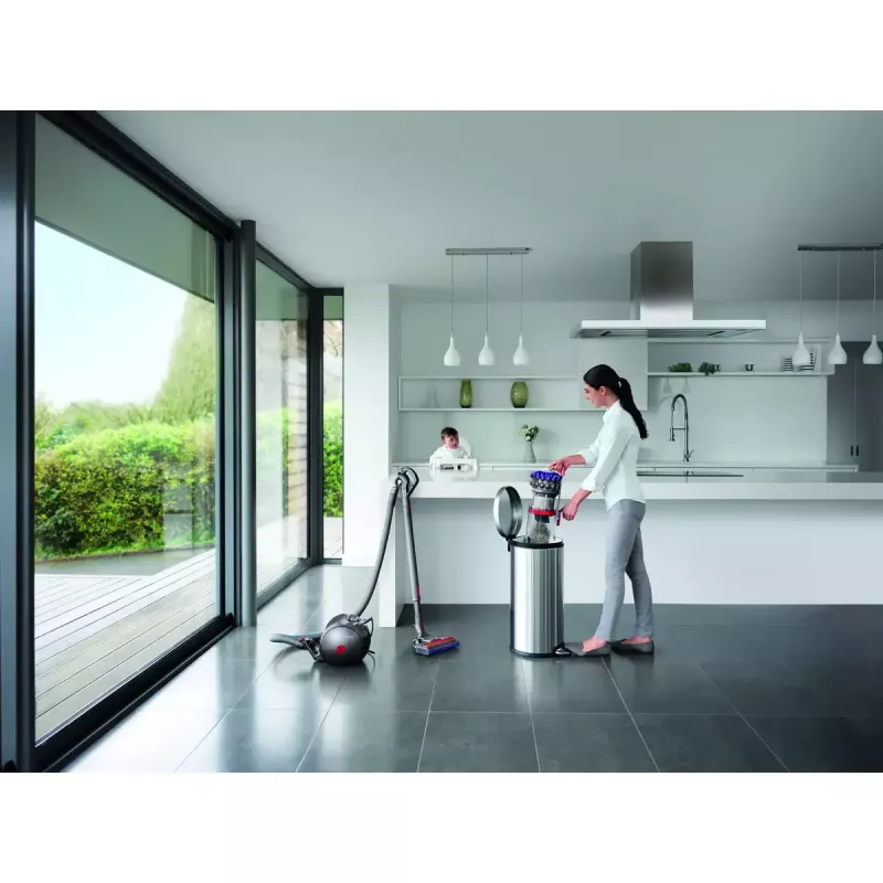 Cilindrinis dulkių siurblys Dyson Big ball Parquet 2