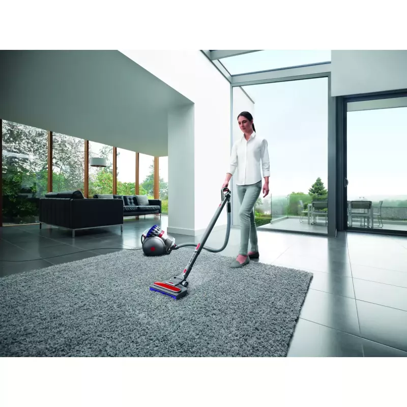 Cilindrinis dulkių siurblys Dyson Big ball Parquet 2
