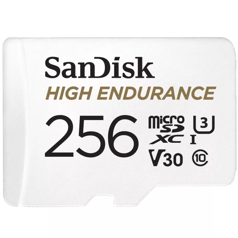 WESTERN DIGITAL SanDisk Micro Sdxc High Endurance 256GB