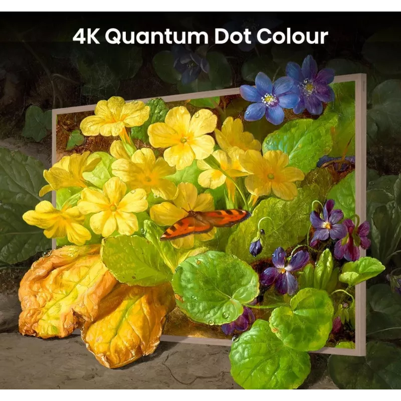 Hisense 55 colių S7NQTUK Canvas TV su Freely ir ArtMode