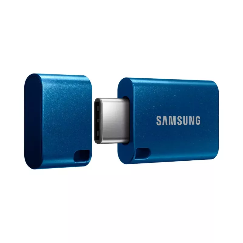 Samsung MUF-256DA USB atmintukas 256 GB USB Type-C 3.2 Gen 1 (3.1 Gen 1) Mėlynas