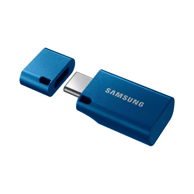 Samsung MUF-256DA USB atmintukas 256 GB USB Type-C 3.2 Gen 1 (3.1 Gen 1) Mėlynas