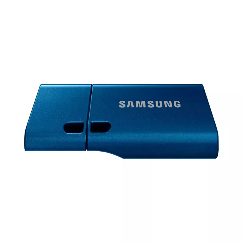 Samsung MUF-256DA USB atmintukas 256 GB USB Type-C 3.2 Gen 1 (3.1 Gen 1) Mėlynas