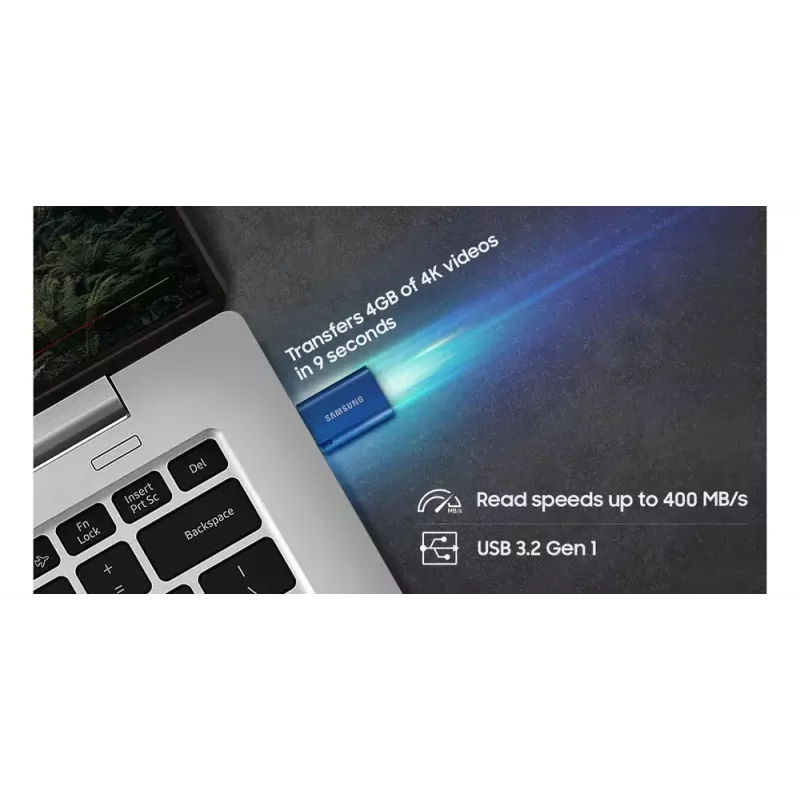 Samsung MUF-256DA USB atmintukas 256 GB USB Type-C 3.2 Gen 1 (3.1 Gen 1) Mėlynas