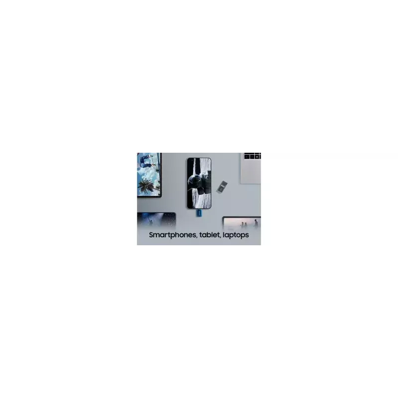 Samsung MUF-256DA USB atmintukas 256 GB USB Type-C 3.2 Gen 1 (3.1 Gen 1) Mėlynas