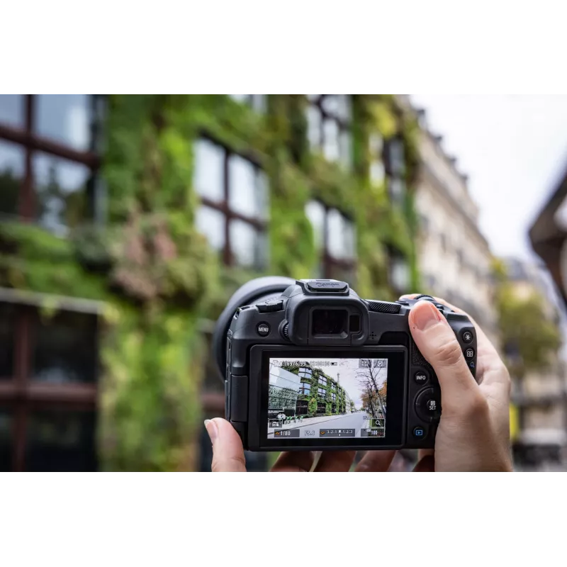 Canon EOS R8, 24,2 MP, 6000 x 4000 pikselių, CMOS, 4K Ultra HD, jutiklinis ekranas, juoda
