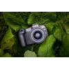 Canon EOS R8, 24,2 MP, 6000 x 4000 pikselių, CMOS, 4K Ultra HD, jutiklinis ekranas, juoda