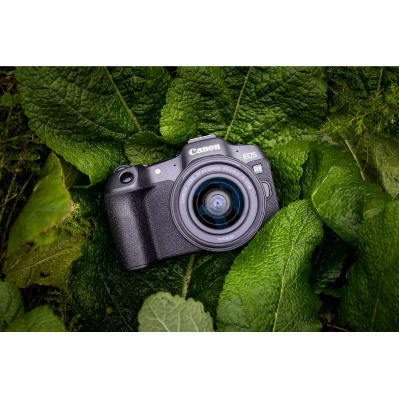 Canon EOS R8, 24,2 MP, 6000 x 4000 pikselių, CMOS, 4K Ultra HD, jutiklinis ekranas, juoda