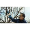 Bosch Pro Pruner Professional belaidės žolės žirklės 2,5 cm 12 V ličio jonų (Li-Ion) mėlynos