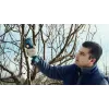 Bosch Pro Pruner Professional belaidės žolės žirklės 2,5 cm 12 V ličio jonų (Li-Ion) mėlynos