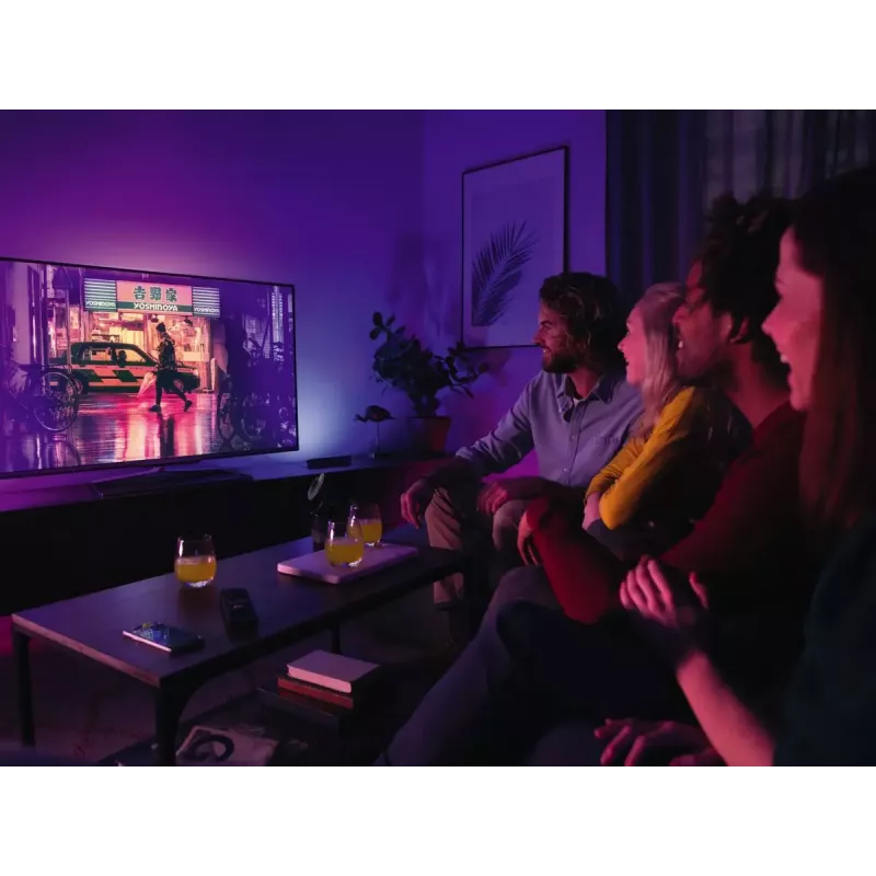 Philips Hue White and colour ambience Play šviesos juostų dviejų vienetų rinkinys