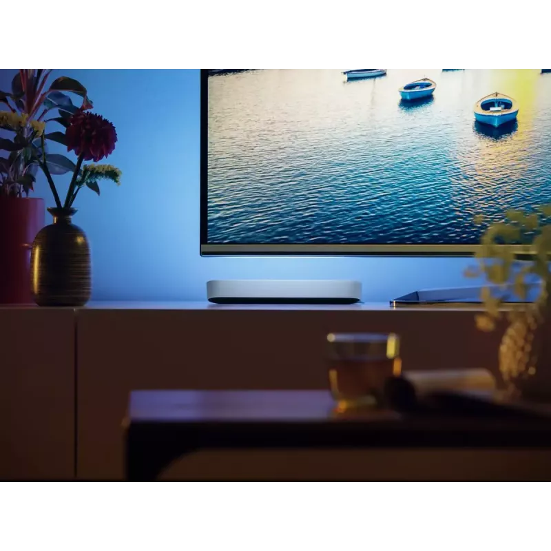 Philips Hue White and colour ambience Play šviesos juostų dviejų vienetų rinkinys