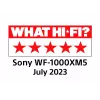 Sony WF-1000XM5 ausinės belaidės į ausis įdedamos skambučiams/muzikai Bluetooth sidabrinės