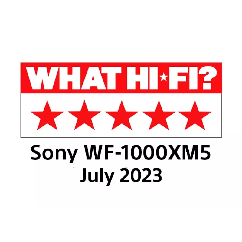 Sony WF-1000XM5 ausinės belaidės į ausis įdedamos skambučiams/muzikai Bluetooth sidabrinės