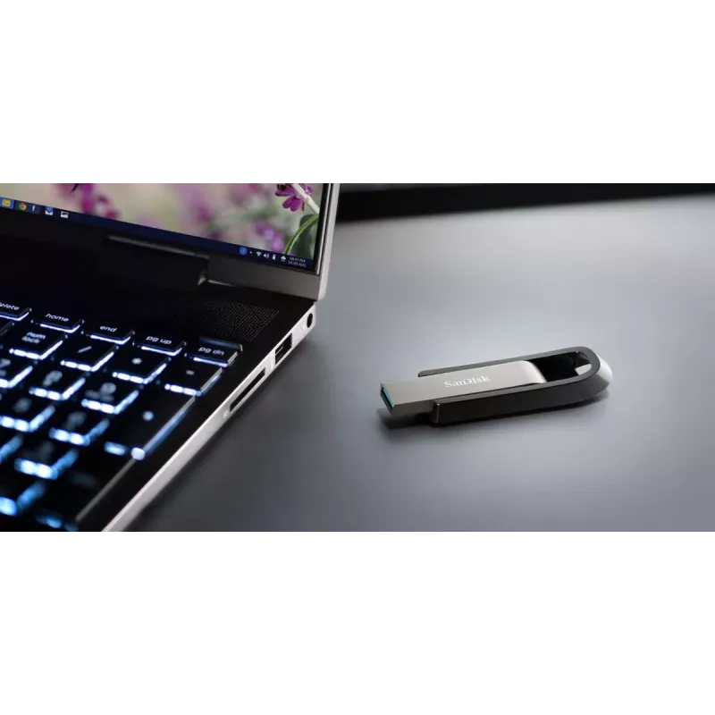 WESTERN DIGITAL SanDisk Ultra Extreme GO - 256GB USB atmintinė - USB 3.2