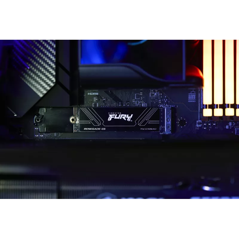 SSD diskas Kingston Technology 4T M.2 2280 NVMe FURY RENEGADE G5