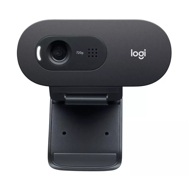 LOGITECH C505e internetinė kamera USB juoda