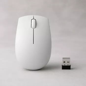 Belaidė kompaktiška pelė Lenovo Compact Mouse su baterija — ambidekstrinė, 1000 DPI, RF belaidė, 3 mygtukai, pilka