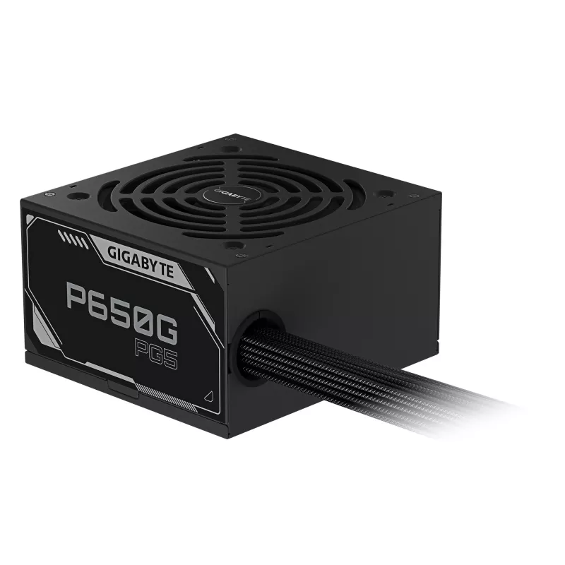 GIGABYTE P650G PCIE 5.1 maitinimo blokas – PCIe 5.1, 80 PLUS Sidabrinė, 120 mm ventiliatorius, suderinamas su ATX 3.1, EU kištukas