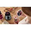 Bosch VitaPower MMB2111S trintuvas 0,6 l stacionarus trintuvas 450 W sidabrinis