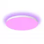 Philips Hue White and colour ambience Datura lubinis šviestuvas didelis