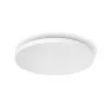 Philips Hue White and colour ambience Datura lubinis šviestuvas didelis