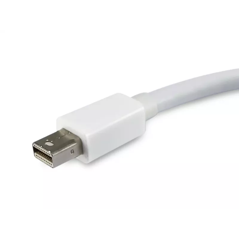 Mini DisplayPort į DisplayPort adapteris Equip 133440