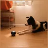 Stebėjimo robotas Enabot EBO AIR 2 — mobilioji namų kamera, rožinė