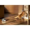 Apsaugos kamera Enabot Family Robot IP Camera ROLA PetPal WH287304