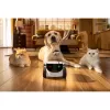 Apsaugos kamera Enabot Family Robot IP Camera ROLA PetPal WH287304